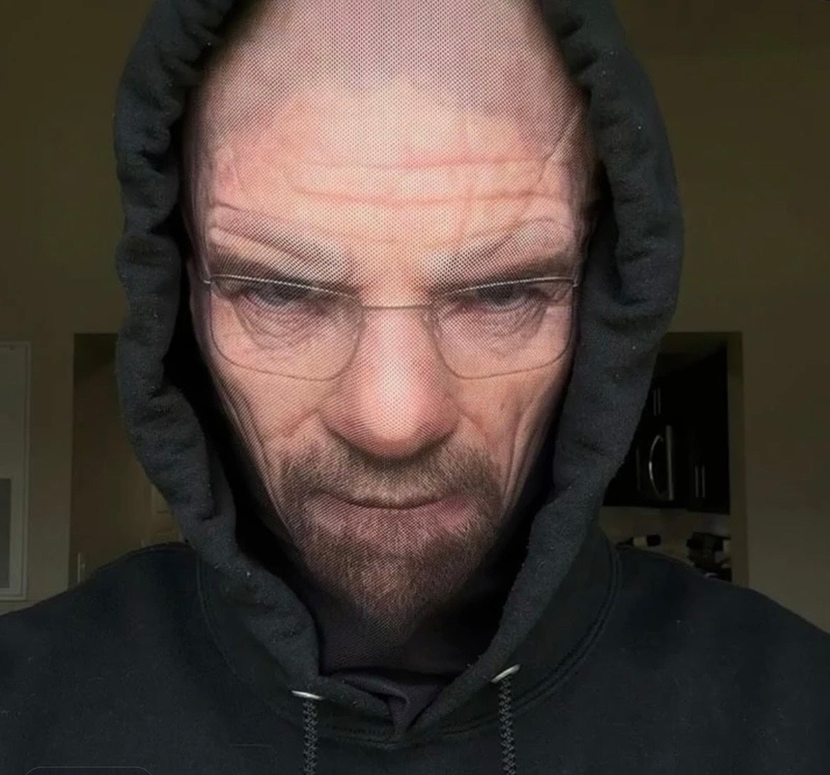 máscara de parodia de cosplay (máscara facial 3D)
